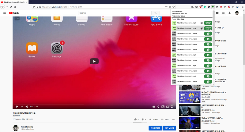 download a youtube video on firefox for mac